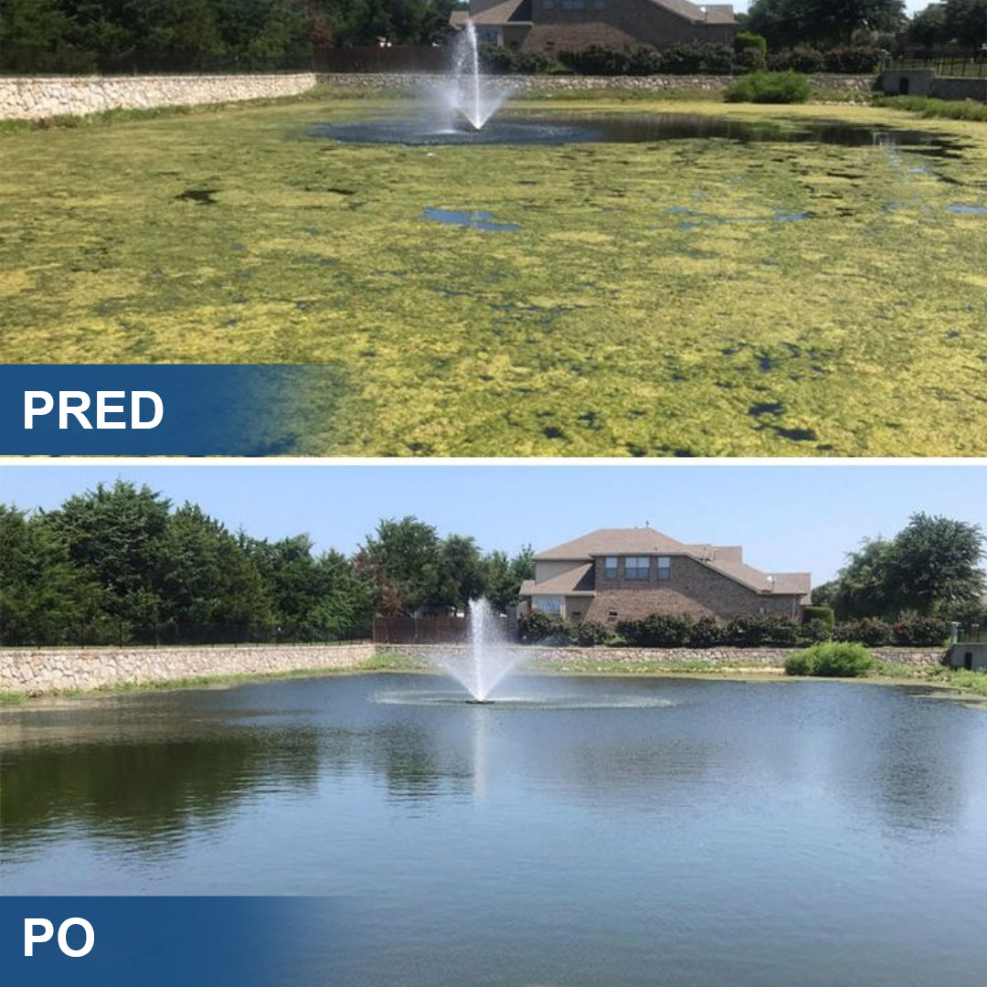 ✨ AgroVitae® odstranjevalec alg — napredna rešitev z dvojnim delovanjem, ki pomaga hitro odstraniti alge in ponovno vzpostaviti popolno ravnovesje vode 🧬🐟💧