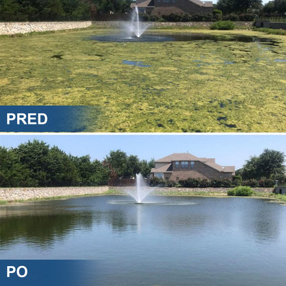✨ AgroVitae® odstranjevalec alg — napredna rešitev z dvojnim delovanjem, ki pomaga hitro odstraniti alge in ponovno vzpostaviti popolno ravnovesje vode 🧬🐟💧