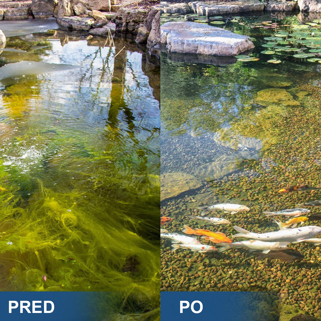 ✨ AgroVitae® odstranjevalec alg — napredna rešitev z dvojnim delovanjem, ki pomaga hitro odstraniti alge in ponovno vzpostaviti popolno ravnovesje vode 🧬🐟💧