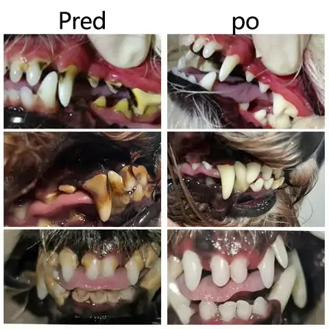 🐶🐱[🇸🇮 Uradna Trgovina] 𝐓𝐚𝐢𝐧𝐮𝐧® Oralna tekočina za podporo zobnemu in prebavnemu zdravju živali – svež zadah, odstranjevanje zobnega kamna in podpora regeneraciji dlesni ter stabilizaciji zob (za mačke in pse) – Danes 70 % popusta!