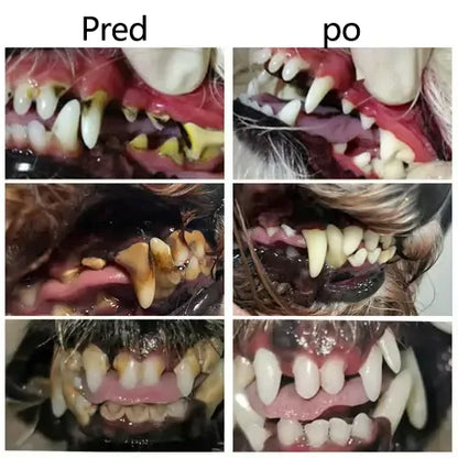 🐶🐱[🇸🇮 Uradna Trgovina] 𝐓𝐚𝐢𝐧𝐮𝐧® Oralna tekočina za podporo zobnemu in prebavnemu zdravju živali – svež zadah, odstranjevanje zobnega kamna in podpora regeneraciji dlesni ter stabilizaciji zob (za mačke in pse) – Danes 70 % popusta!