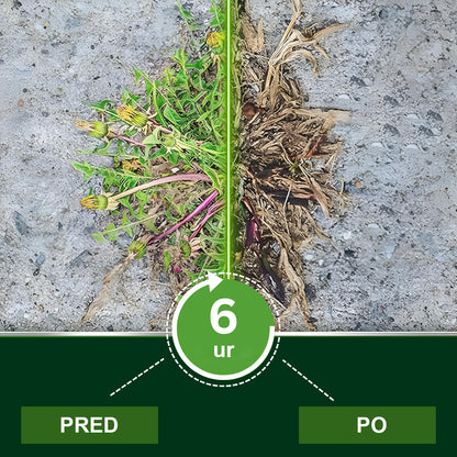 AEXZR® 2 v 1 Herbicid največje moči – Hitro uničenje plevela v 6 urah ⚡ | Dvojno delovanje brez glifosata 🌿