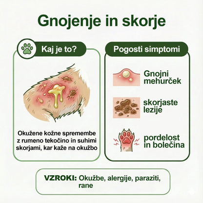Twisma® 3 v 1 FurPerfect Nege sprej – Popolna nega kože in kožuščka za tvojega ljubljenčka 🐾 Povej zbogom srbenju, rdečici in prekomernemu izpadanju dlake 🐶🐱